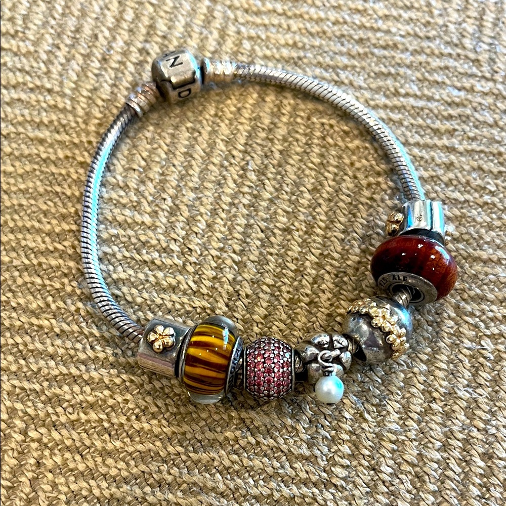 Pandora Silver Bracelet with 7 silver & gold, brown charms